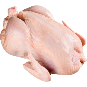 fresh dressed broiler chickens ready for your table