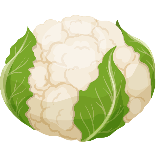 cauliflower cauliflower