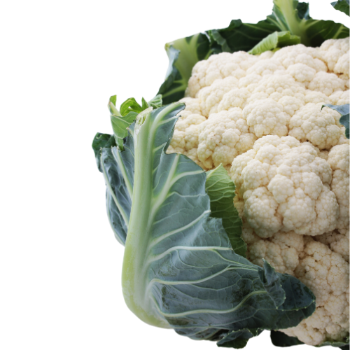 cauliflower cauliflower