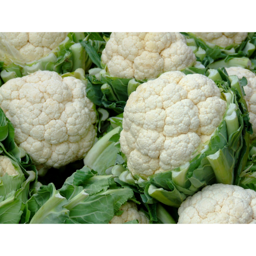 cauliflower cauliflower