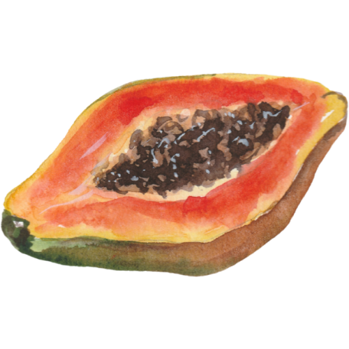 papaya (paw paw) papaya (paw paw)